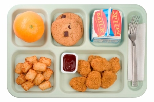 School Food - Chicken Nuggets
